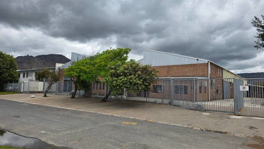 To Let Commercial Property for Rent in Retreat Western Cape